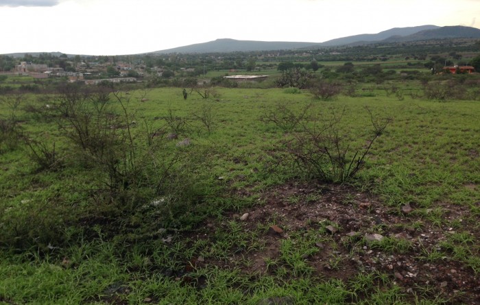 TERRENO AUTOPISTA QUERETARO-CELAYA